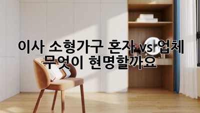 이사 소형가구 혼자 vs 업체, 무엇이 현명할까요?