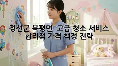 정선군 북평면 ✨ 고급 청소 서비스: 합리적 가격 책정 전략 💰