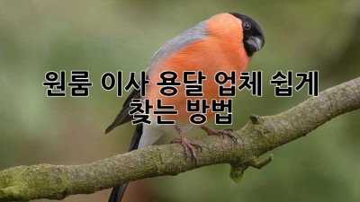 원룸 이사? 용달 업체 쉽게 찾는 방법!